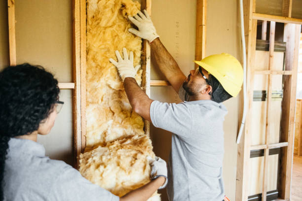 Best Insulation Removal Services  in Charleston, IL