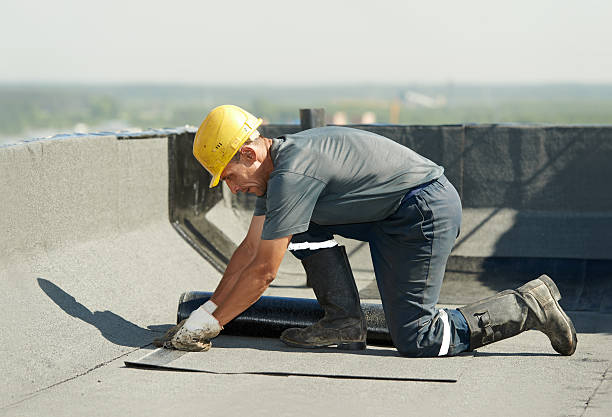 Best Insulation for New Construction  in Charleston, IL