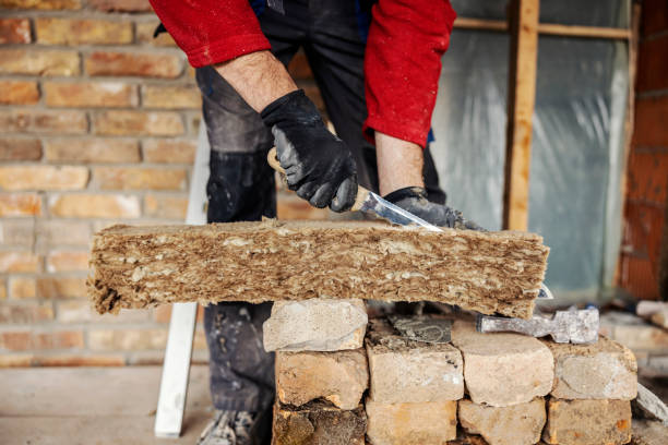 Best Insulation Removal  in Charleston, IL