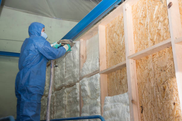 Best Home Insulation Services  in Charleston, IL